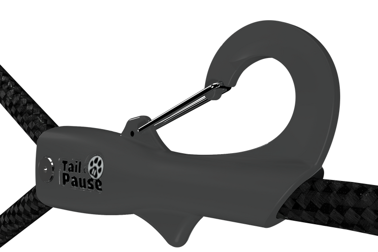 NOW AVAILABLE: Pause Leash - Small